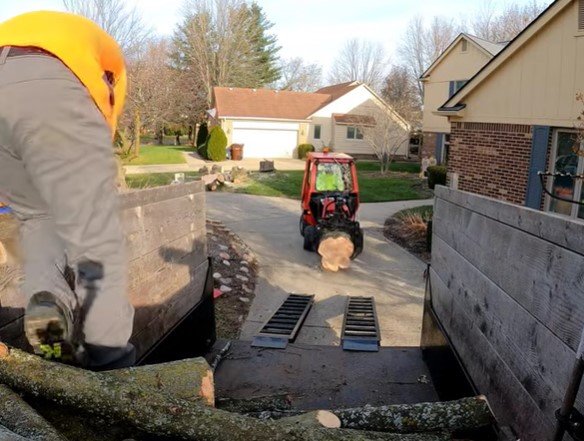 duluth tree service duluth tree service