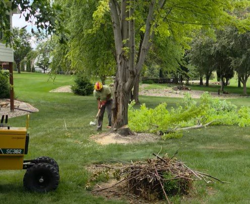 emergency tree removal duluth mn emergency tree removal duluth mn