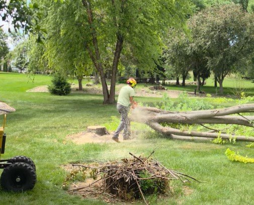 emergency tree removal in duluth mn emergency tree removal in duluth mn