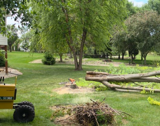 emergency tree removal near me in duluth emergency tree removal near me in duluth