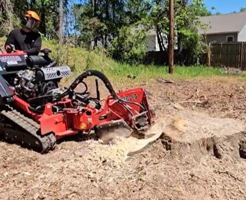 stump grinding and removal in duluth mn stump grinding and removal in duluth mn