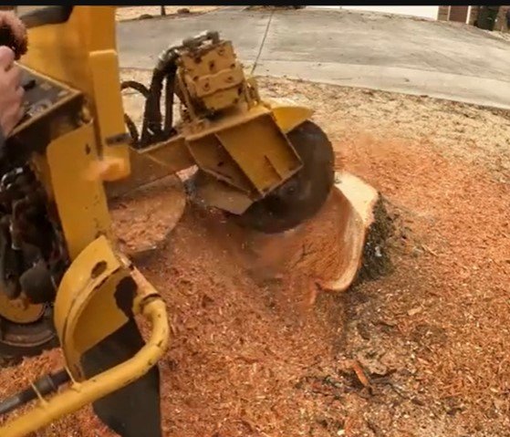 stump grinding and removal in duluth mn stump grinding and removal in duluth mn