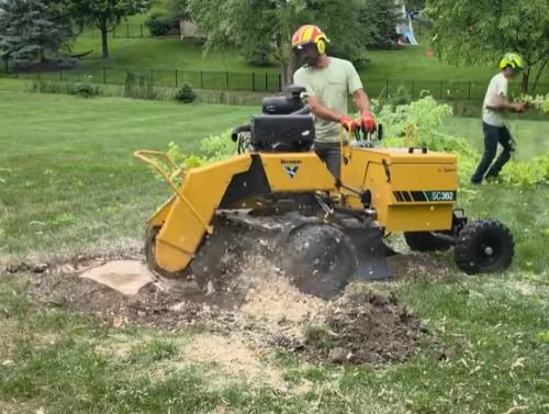stump grinding duluth mn stump grinding duluth mn