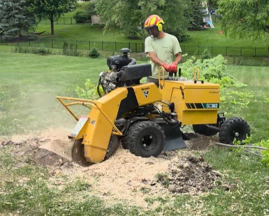 stump grinding in duluth mn stump grinding in duluth mn