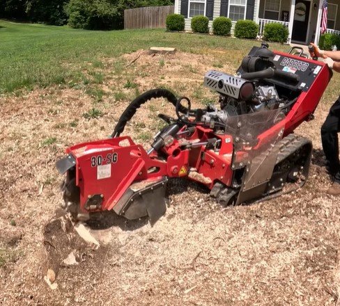 stump removal near me in duluth mn stump removal near me in duluth mn