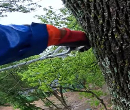 tree cabling near me in duluth mn tree cabling near me in duluth mn