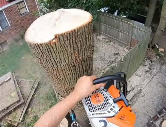 tree removal near me in duluth mn tree removal near me in duluth mn