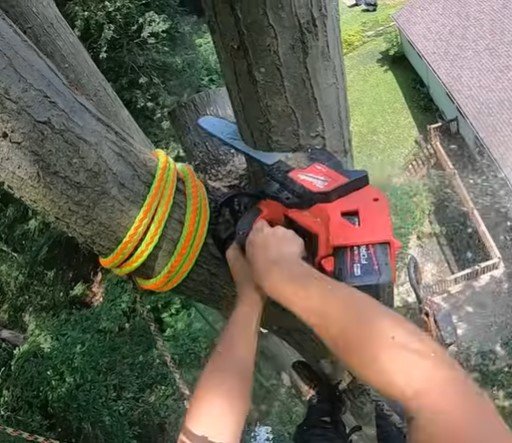 tree service near me in duluth mn tree service near me in duluth mn