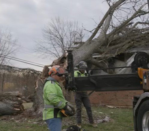 emergency storm damage tree service duluth mn emergency storm damage tree service duluth mn