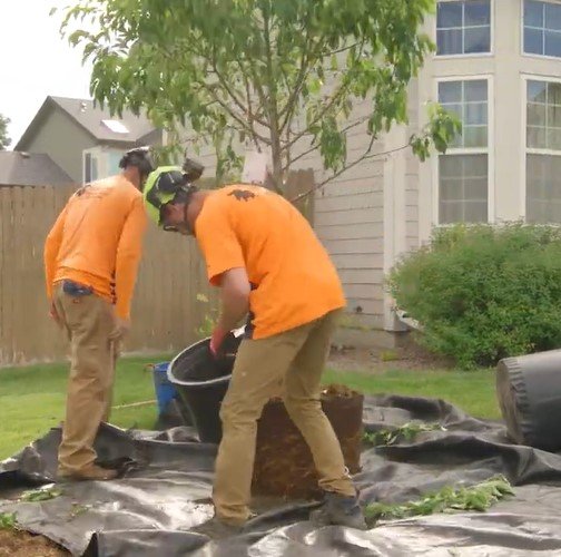 emergency tree service superior wi emergency tree service superior wi