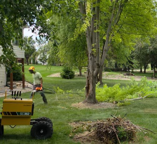 tree service hermantown mn tree service hermantown mn