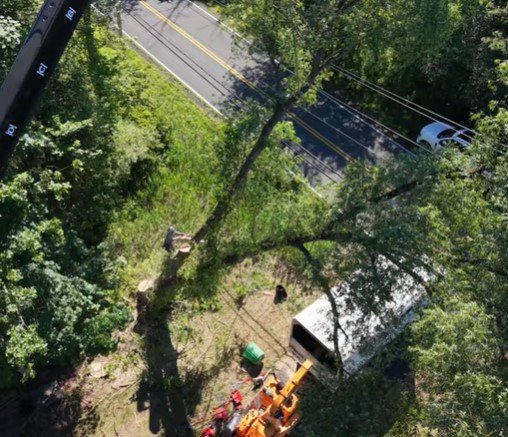 tree service in superior wi tree service in superior wi