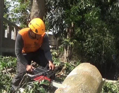 tree service near me in hermantown mn tree service near me in hermantown mn